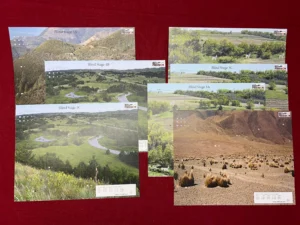 Blind Stages Target Pack: