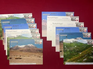 Multi-Level Barricade Sets: